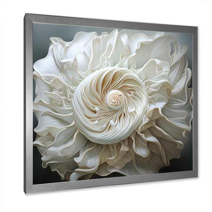 Monochromatic Seashells - Seashell Living Room Wall Art