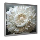 Monochromatic Seashells - Seashell Living Room Wall Art