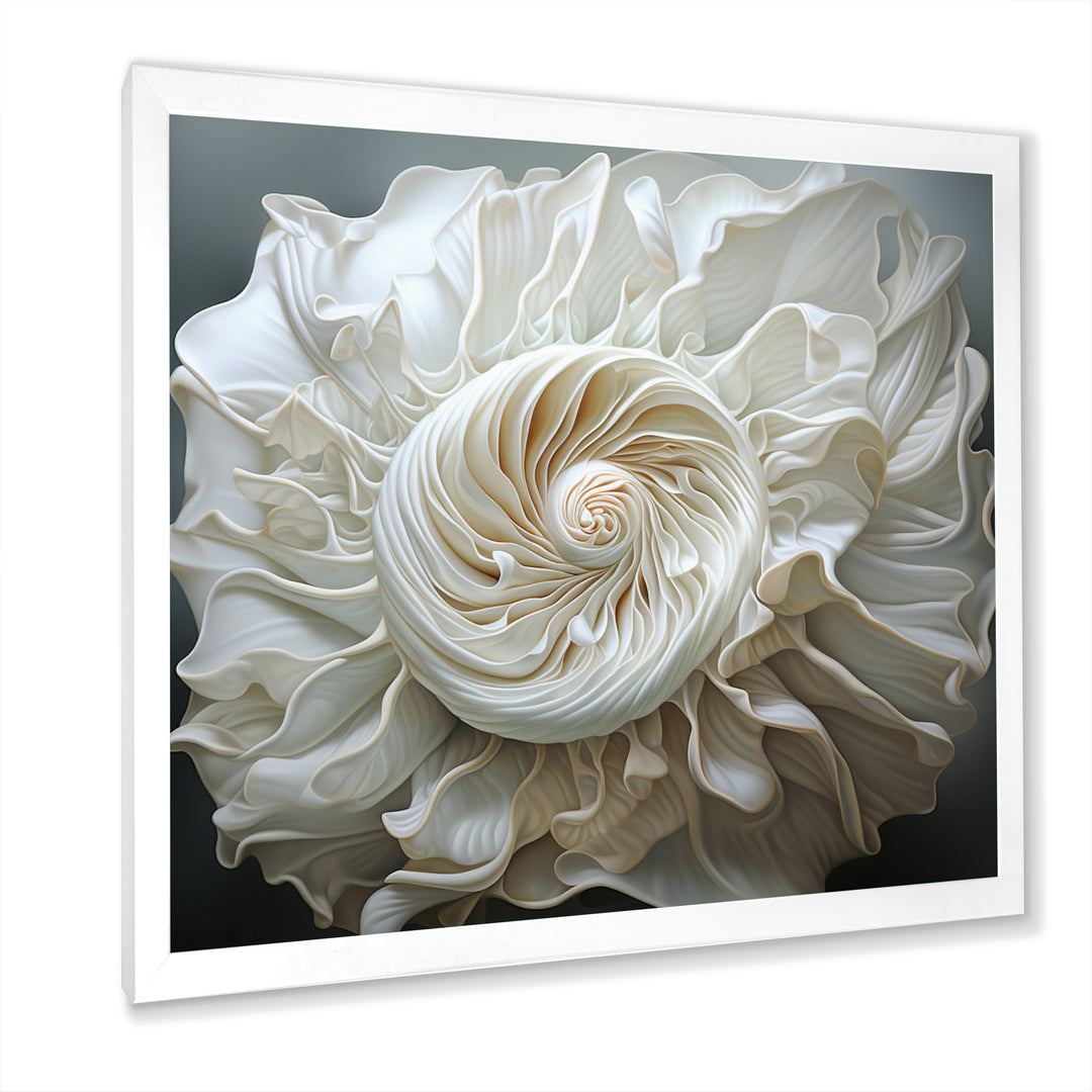 Monochromatic Seashells - Seashell Living Room Wall Art