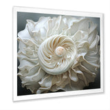 Monochromatic Seashells - Seashell Living Room Wall Art