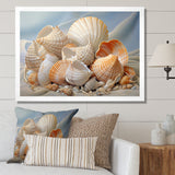 Photorealistic Seashells Collage - Seashell Canvas Wall Art