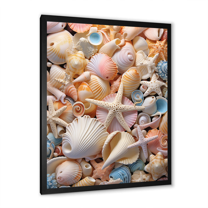 Seashell Realistic Treasures Realism - Multi-Color Seashell Wall Art