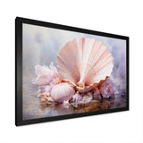 Pink Seashell Serenity - Seashell Framed Canvas Art