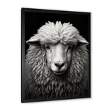 Grey White Sheep Black And White - Sheep Wall Art Prints