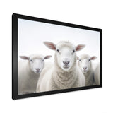 White Minimalist Whie Sheep's - Sheep Living Room Wall Art