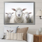 White Minimalist Whie Sheep's - Sheep Living Room Wall Art