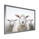 White Minimalist Whie Sheep's - Sheep Living Room Wall Art