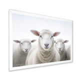 White Minimalist Whie Sheep's - Sheep Living Room Wall Art