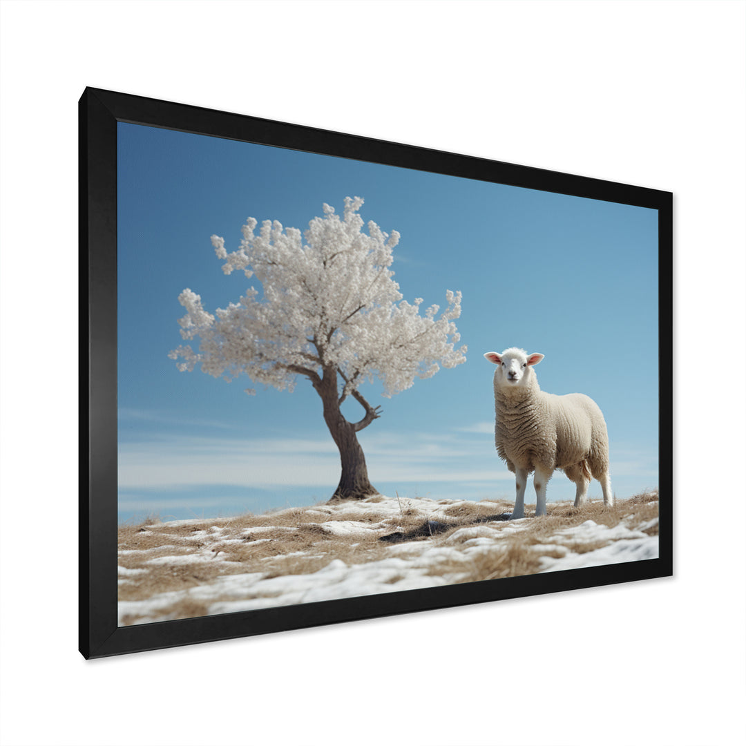 Sheep Minimalist Solitude - Sheep Wall Art Prints