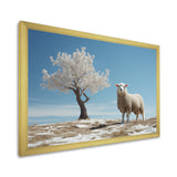 Sheep Minimalist Solitude - Sheep Wall Art Prints