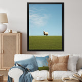 Sheep Minimalistic Solitude - Sheep Wall Art Prints