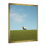 Sheep Minimalistic Solitude - Sheep Wall Art Prints