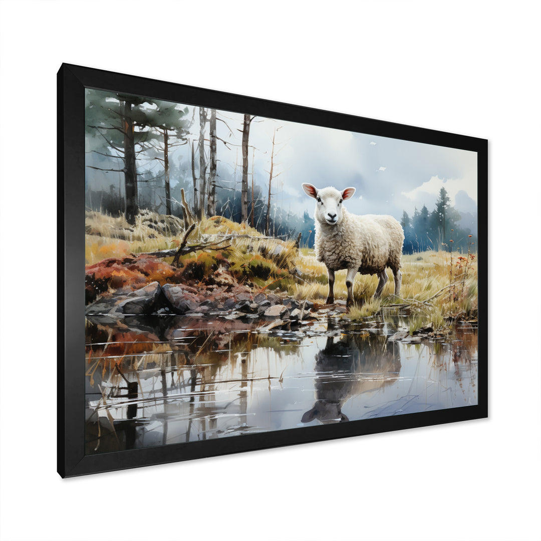 Sheep Reflection - Sheep Wall Art Prints