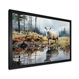 Sheep Reflection - Sheep Wall Art Prints