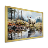 Sheep Reflection - Sheep Wall Art Prints