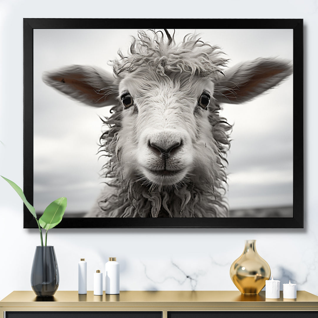 Sheep Serenity - Gray Sheep Wall Art