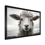 Sheep Serenity - Gray Sheep Wall Art