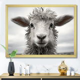 Sheep Serenity - Gray Sheep Wall Art