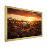 Sheep Silhouette At Sunrise - Sheep Large Canvas Wall Art
