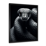 Black Snake Slithering Grace - Snake Wall Decor