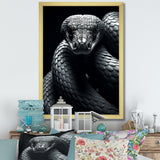 Black Snake Slithering Grace - Snake Wall Decor