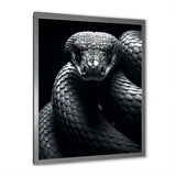 Black Snake Slithering Grace - Snake Wall Decor