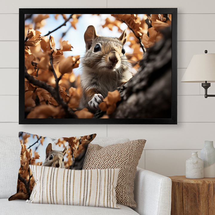 Grey Squirrel Squirrels Antics - Gray Squirrel Wall Art