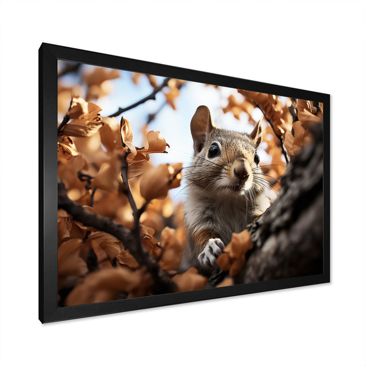Grey Squirrel Squirrels Antics - Gray Squirrel Wall Art