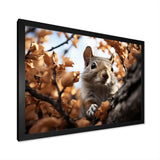 Grey Squirrel Squirrels Antics - Gray Squirrel Wall Art
