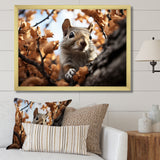 Grey Squirrel Squirrels Antics - Gray Squirrel Wall Art
