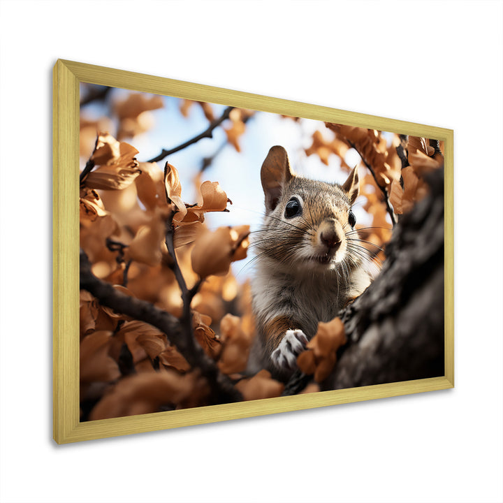 Grey Squirrel Squirrels Antics - Gray Squirrel Wall Art