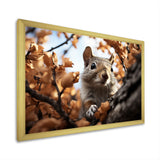 Grey Squirrel Squirrels Antics - Gray Squirrel Wall Art