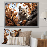 Grey Squirrel Squirrels Antics - Gray Squirrel Wall Art