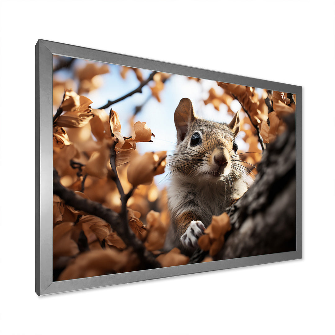 Grey Squirrel Squirrels Antics - Gray Squirrel Wall Art