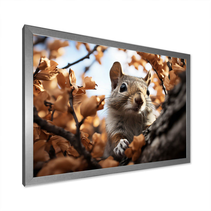 Grey Squirrel Squirrels Antics - Gray Squirrel Wall Art