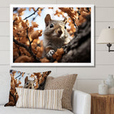 Grey Squirrel Squirrels Antics - Gray Squirrel Wall Art