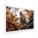 Grey Squirrel Squirrels Antics - Gray Squirrel Wall Art