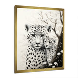 Tiger Harmony In Monochrome - Tiger Wall Art Prints