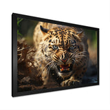 Leopard Wildlife Encounters - Tiger Wall Art Prints