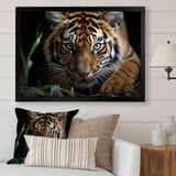 Brown Tiger Portrait - Tiger Framed Canvas Art