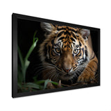 Brown Tiger Portrait - Tiger Framed Canvas Art