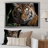 Brown Tiger Portrait - Tiger Framed Canvas Art