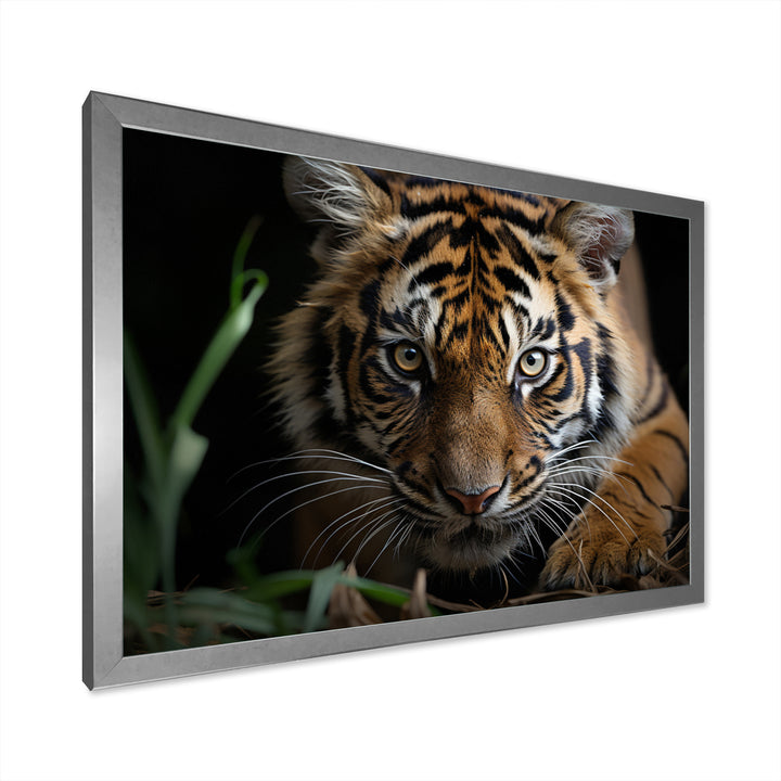 Brown Tiger Portrait - Tiger Framed Canvas Art