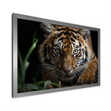 Brown Tiger Portrait - Tiger Framed Canvas Art