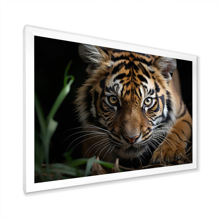 Brown Tiger Portrait - Tiger Framed Canvas Art