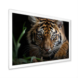 Brown Tiger Portrait - Tiger Framed Canvas Art