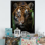 Tiger Portrait Vibrant - Tiger Large Canvas Wall Art