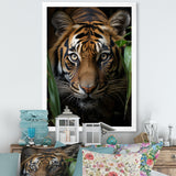 Tiger Portrait Vibrant - Tiger Large Canvas Wall Art