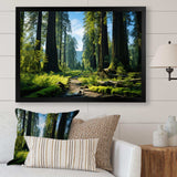 Redwood Giants Tree Forest II - Floral Canvas Wall Art