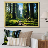 Redwood Giants Tree Forest II - Floral Canvas Wall Art